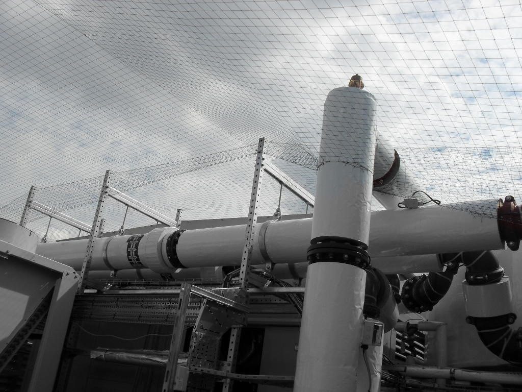 Bird Control in Southampton, Hampshire